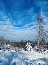 Snow covered field against sky
