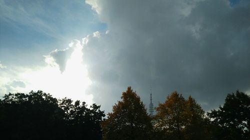 Low angle view of silhouette trees against sky