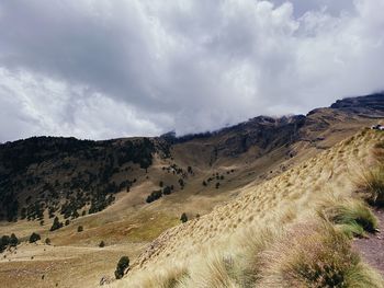 environment