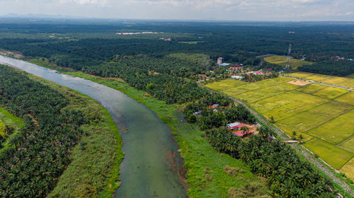 High angle view of agricultural field