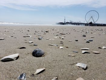 View of amusement park by sea against sky
