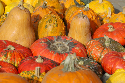 Close-up of pumpkins in market