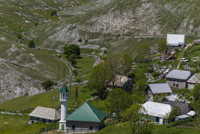 High angle view of trees and buildings