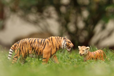 Side view of two cats on field