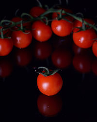 Close-up of tomatoes