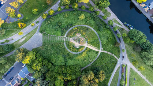 High angle view of tree by road in city