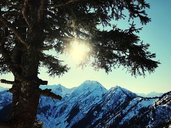 View of tree against mountain in winter