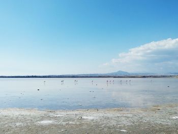 Scenic view of sea against blue sky