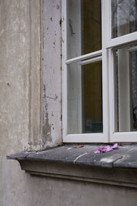 Close-up of window of abandoned house