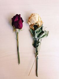 Close-up of wilted rose on table