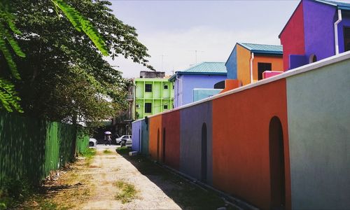 Houses amidst trees in city against sky