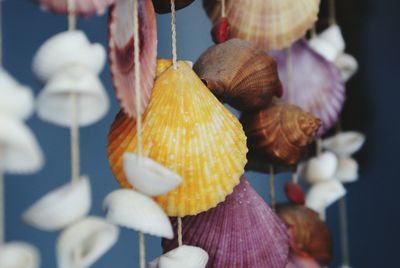 Close-up of seashell decoration