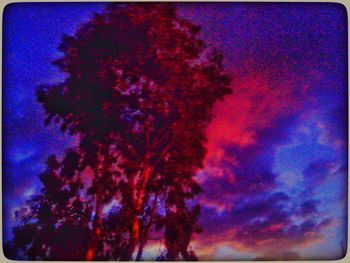 Low angle view of trees against blue sky