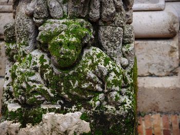 Close-up of old statue against wall