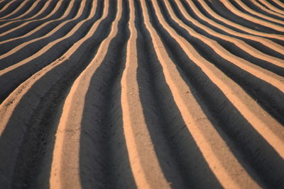 Full frame shot of sand dune