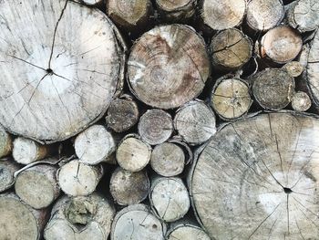 Full frame shot of logs in forest