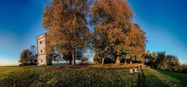 Scenic view of grassy field against clear sky