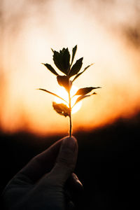 Close-up of hand holding sun during sunset