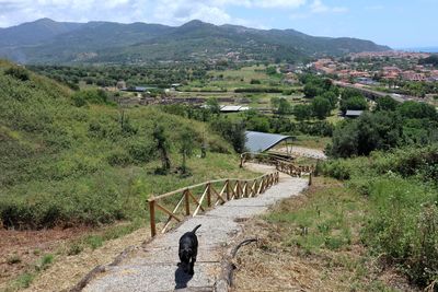 Scenic view of field against mountains