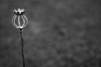 Low angle view of lamp post