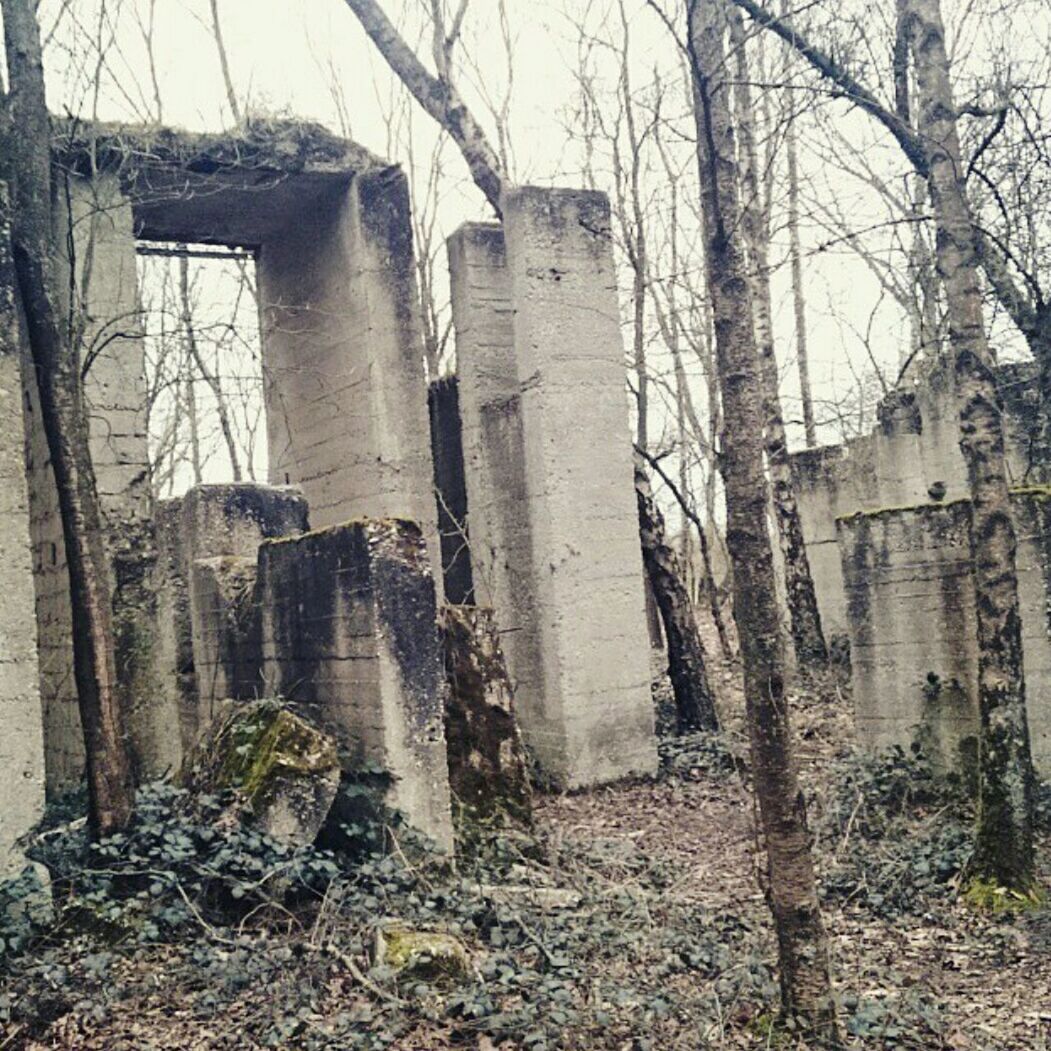 architecture, built structure, abandoned, building exterior, damaged, tree, obsolete, run-down, old, deterioration, bare tree, window, tree trunk, destruction, house, building, weathered, broken, bad condition, day