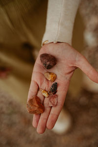 Close-up of hand holding seashell