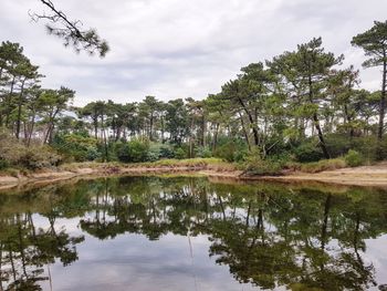 Reflection of trees in lake against sky