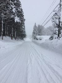 Snow covered road amidst trees against sky during winter