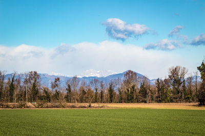 Scenic view of field against sky