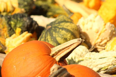 Close-up of pumpkin