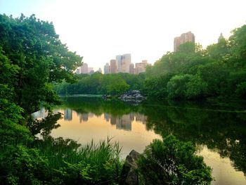 Reflection of trees in river