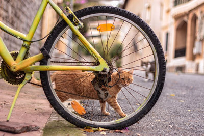 Bicycle parked on a street