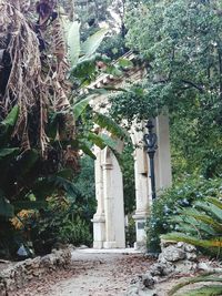 Trees and plants in front of built structure