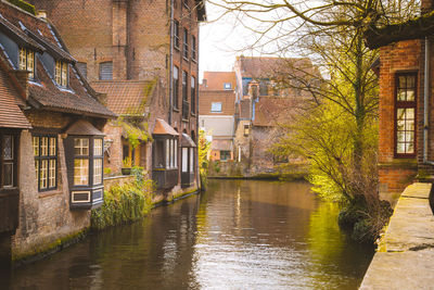 Canal amidst trees and buildings in city