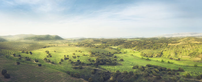 Scenic view of landscape against sky
