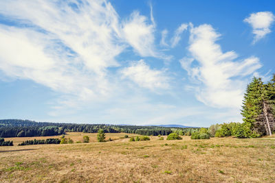 Scenic view of field against sky