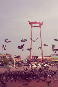 Birds flying over beach against sky