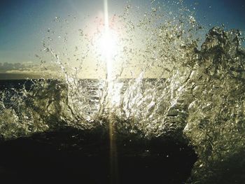 Sun shining through trees