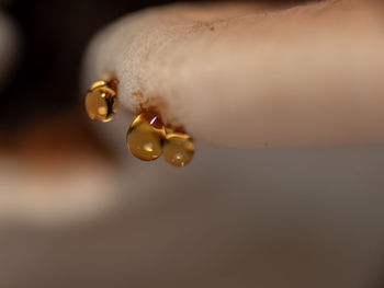 macro photography