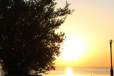 Silhouette tree by sea against clear sky during sunset