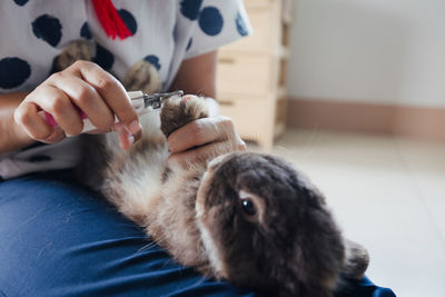 Midsection of woman with cat on bed