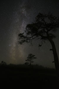 Silhouette trees on field against sky at night
