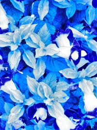 Macro shot of water drops on plant