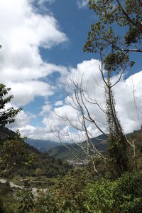 Scenic view of landscape against cloudy sky