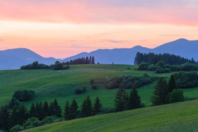 Rural landscape of turiec region at the foothills of velka fatra.