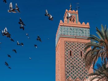 Low angle view of birds flying against sky