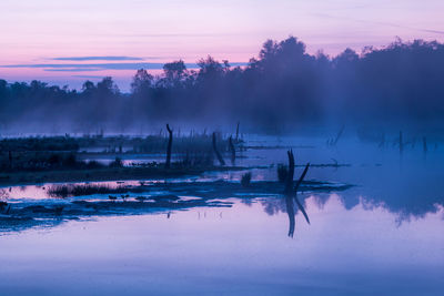 Silhouette trees by lake against sky during sunset