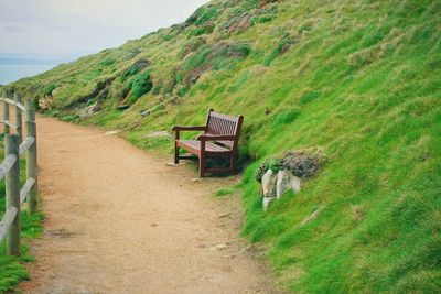 View of empty bench on field