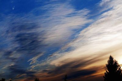 Low angle view of silhouette trees against sky at sunset