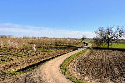 Dirt road amidst field against sky